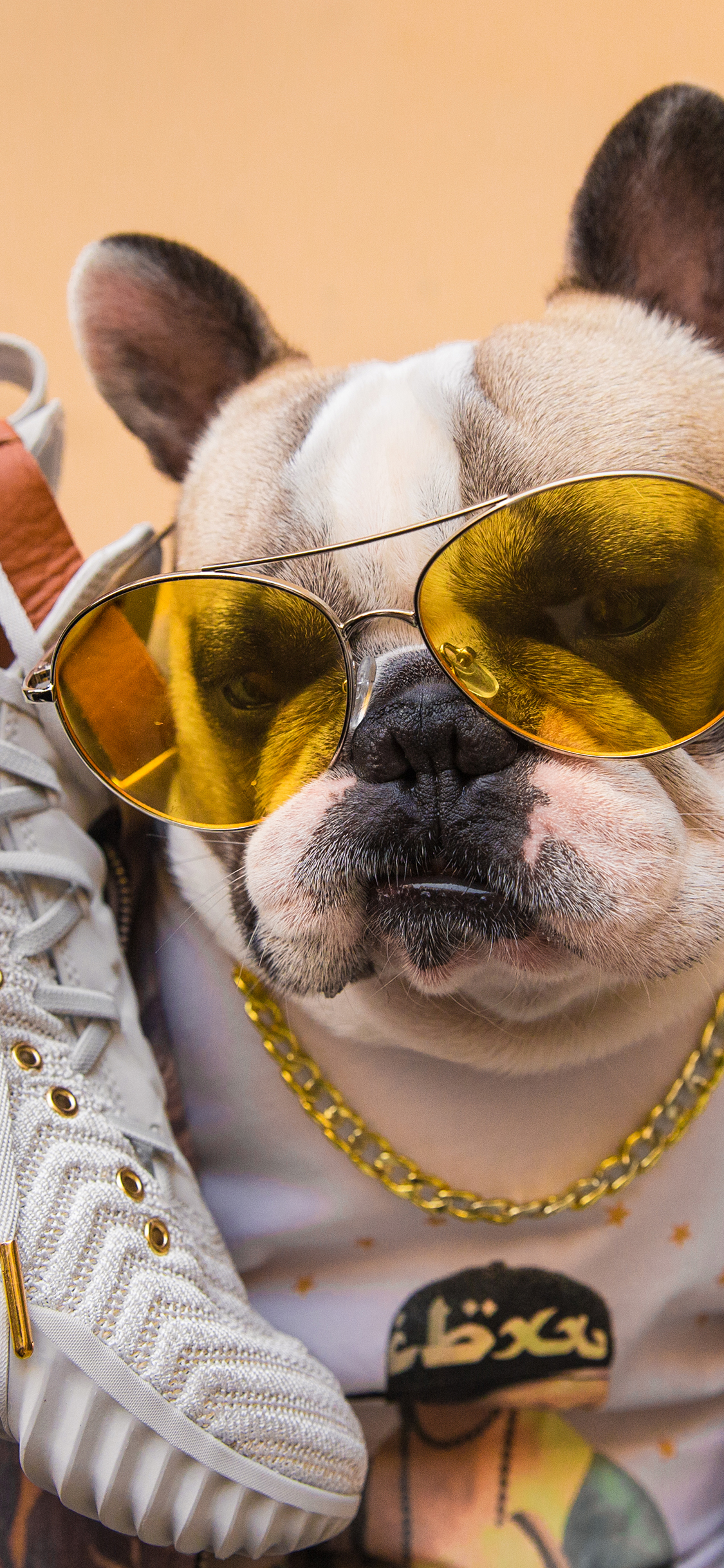 [2436×1125]法斗 犬 狗 汪星人 宠物 鞋子 潮服 墨镜 苹果手机壁纸图片