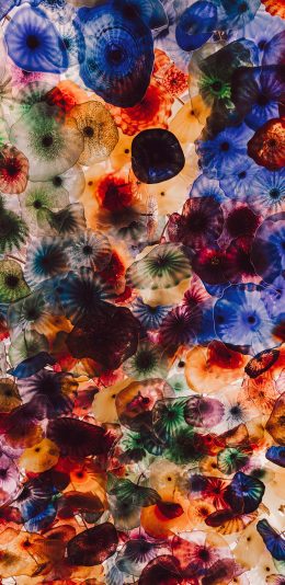 [2436x1125]海洋生物 水母 海蜇 色彩 密集 苹果手机壁纸图片