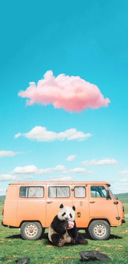 [2436x1125]熊猫 巴士 草原 可爱 苹果手机壁纸图片