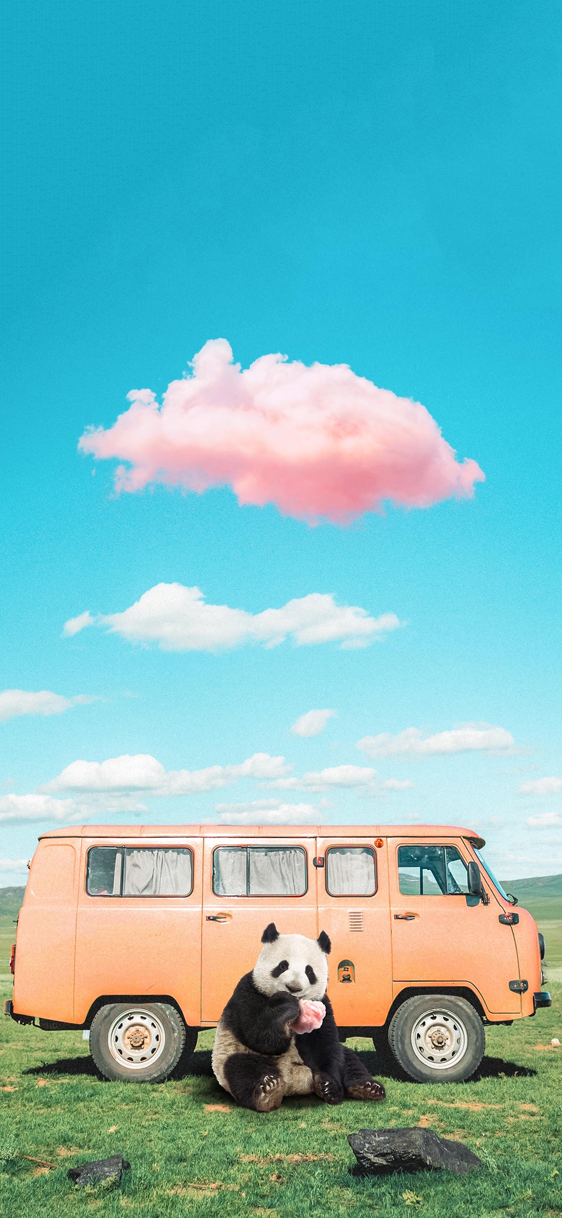 [2436×1125]熊猫 巴士 草原 可爱 苹果手机壁纸图片