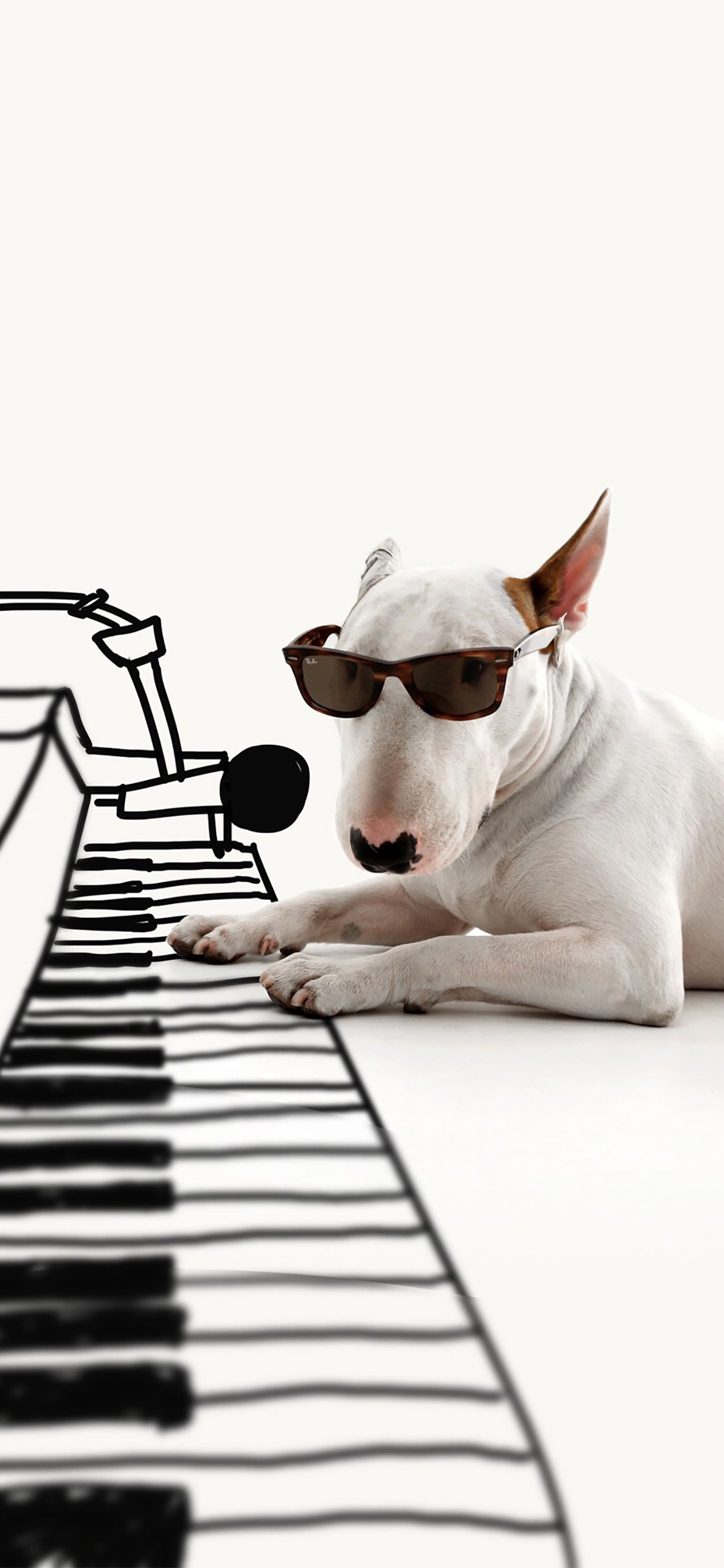 [2436×1125]牛头梗 犬 狗 墨镜 汪星人 宠物 钢琴 苹果手机壁纸图片
