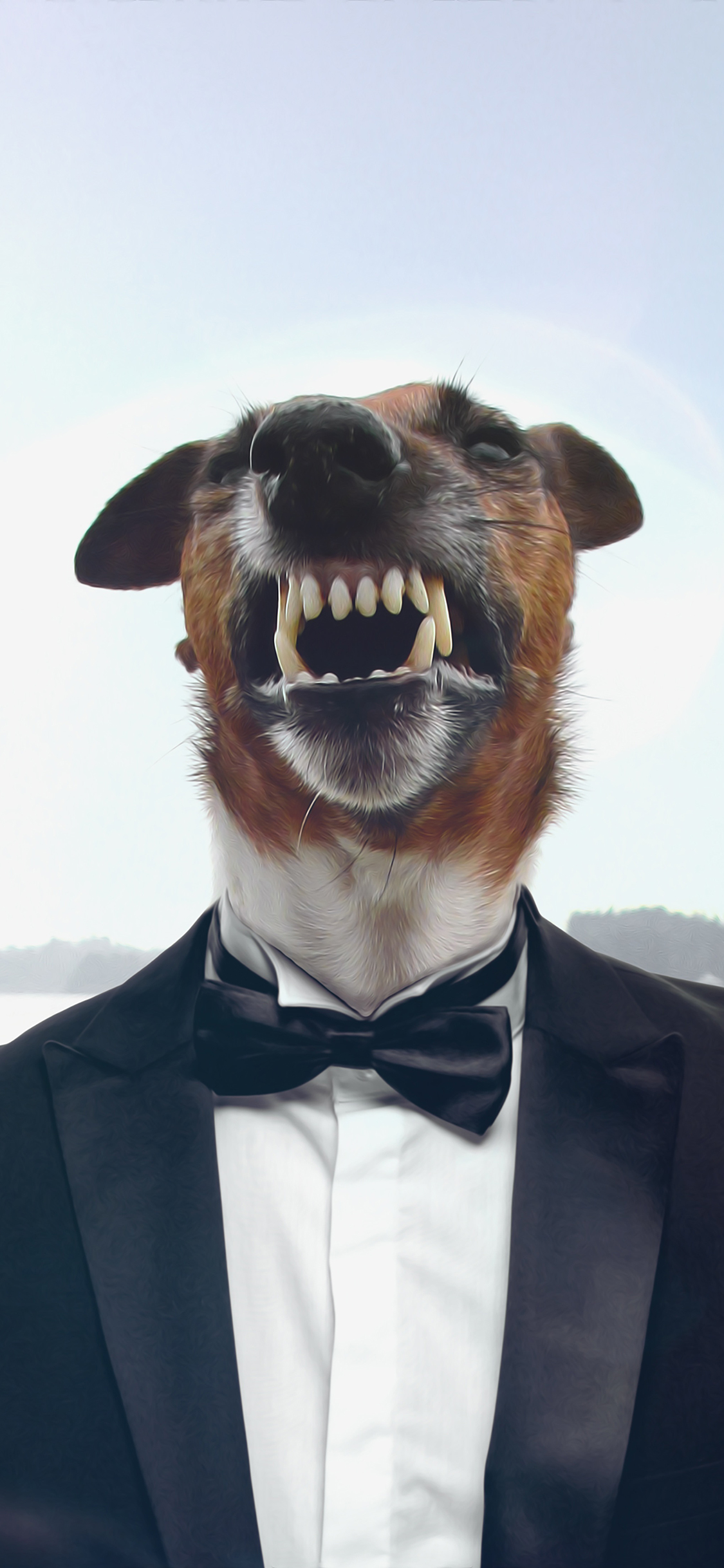 [2436×1125]狗 西装 宠物 犬 牙齿 苹果手机壁纸图片