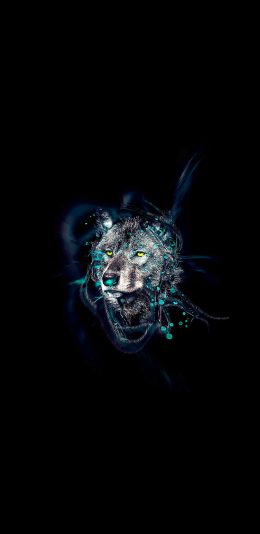 [2436x1125]狼 黑色 凶猛 猛兽 苹果手机壁纸图片