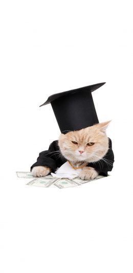 [2436x1125]猫咪 喵星人 可爱 博士帽 萌 宠物 苹果手机壁纸图片