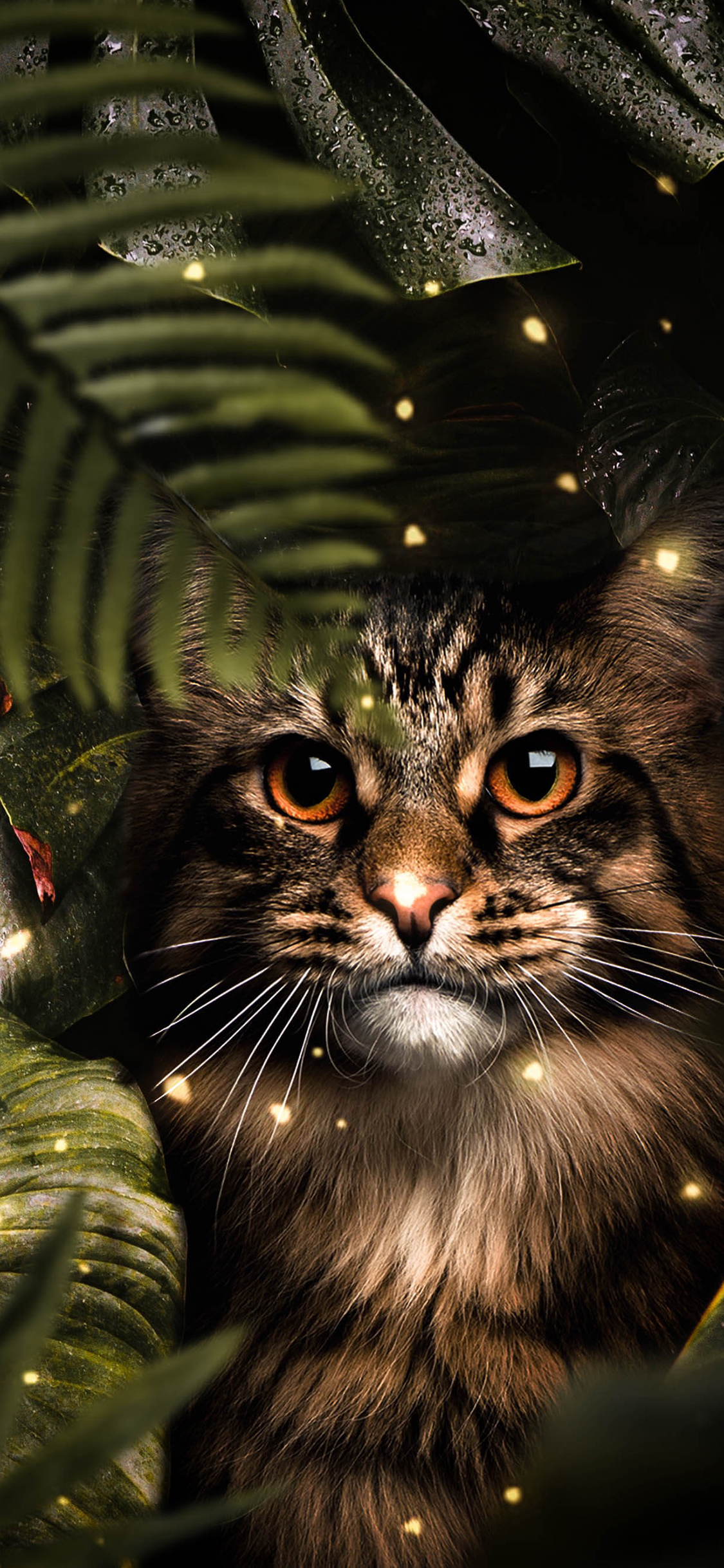 [2436×1125]猫咪 萤火虫 荧光 枝叶 苹果手机壁纸图片