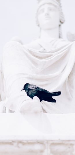 [2436x1125]白色雕像 乌鸦 飞鸟 黑色 苹果手机壁纸图片