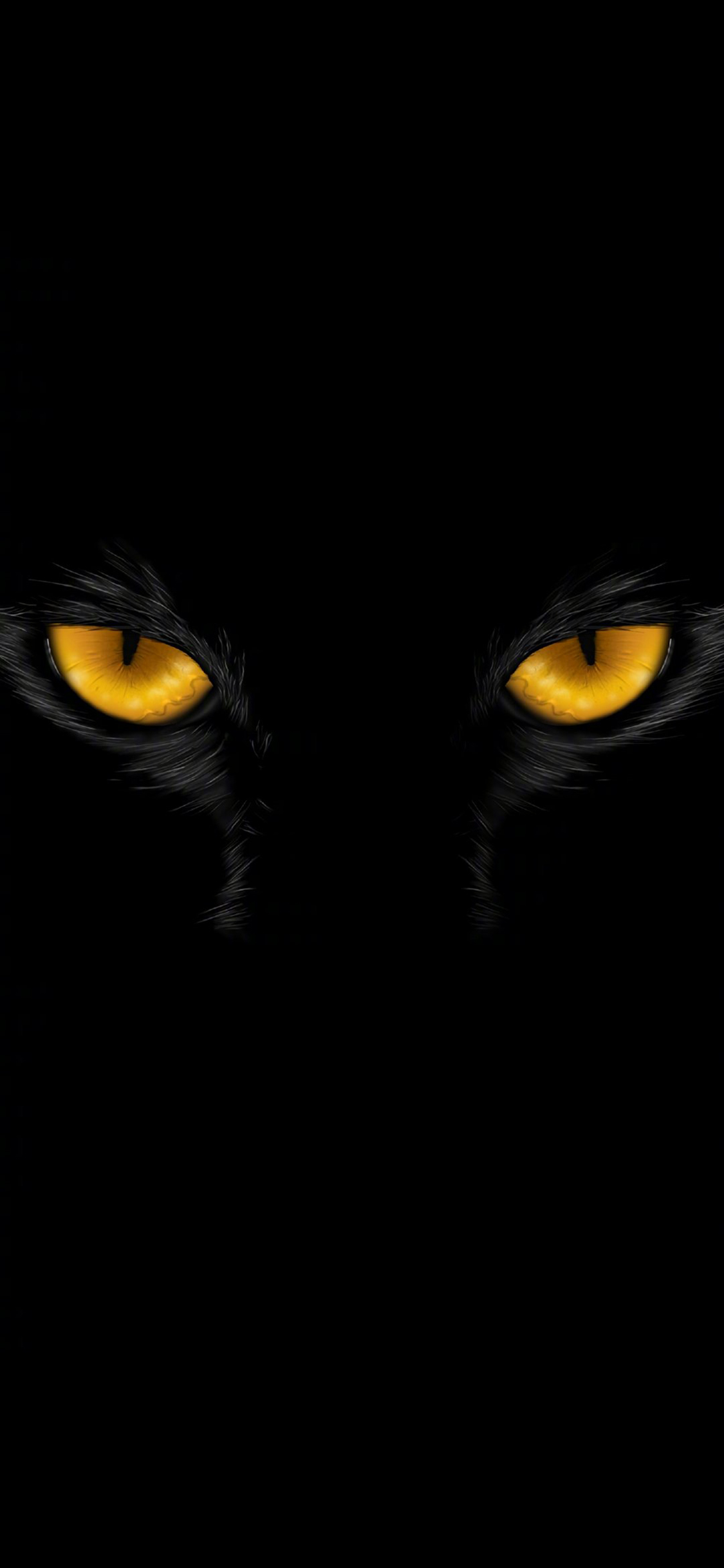[2436×1125]眼睛 凶猛 猫科 黑色 苹果手机壁纸图片
