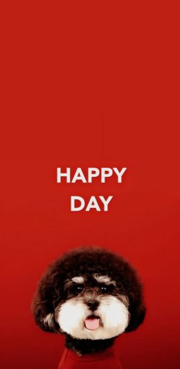 [2436x1125]纯色背景 宠物狗 狗狗  HAPPY DAY 苹果手机壁纸图片