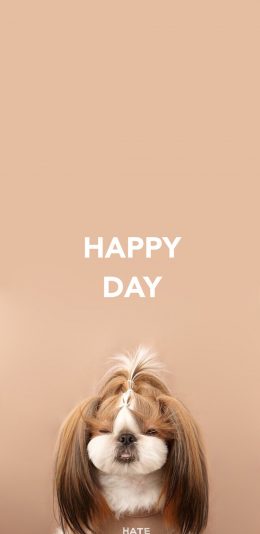 [2436x1125]纯色背景 宠物狗 西施犬 HAPPY DAY 苹果手机壁纸图片
