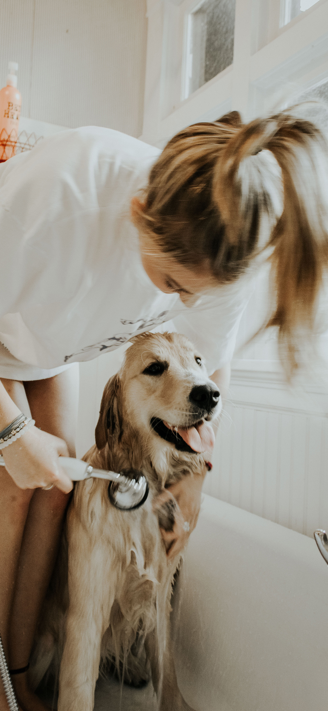 [2436×1125]美女 宠物狗 金毛犬 洗澡 苹果手机壁纸图片