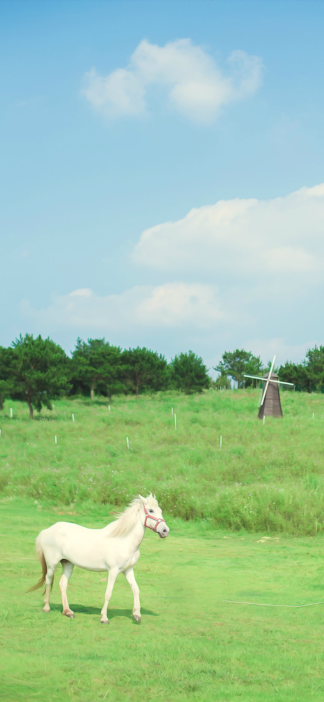 [2436×1125]草原 白马 天空 驹 草地 绿色 小清新 苹果手机壁纸图片
