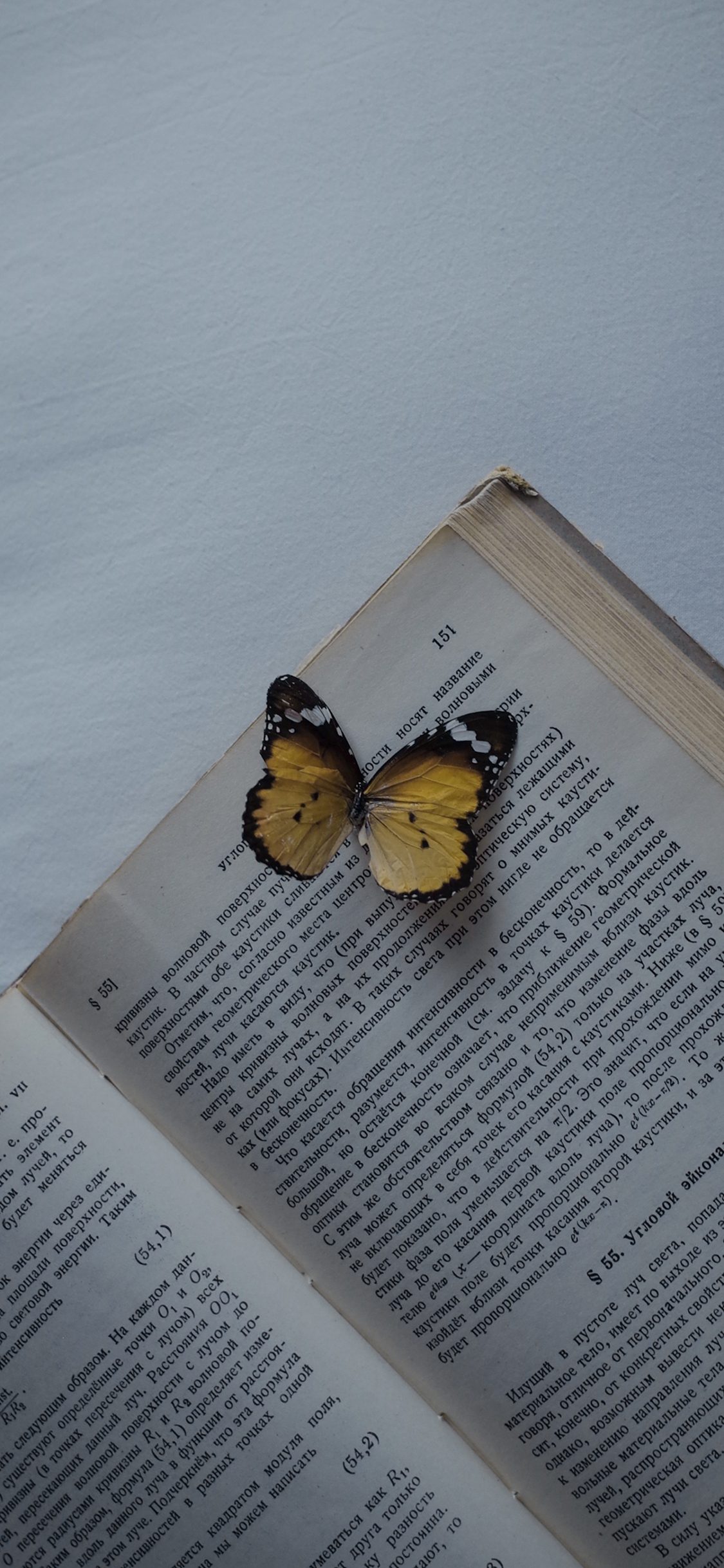 [2436×1125]蝴蝶 标本 翅膀 昆虫 书本 苹果手机壁纸图片