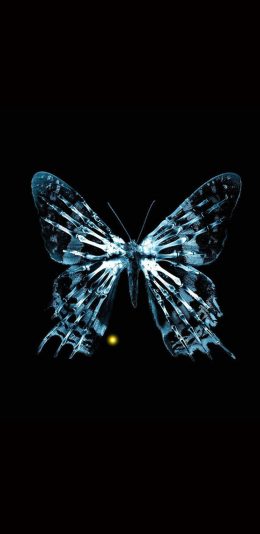 [2436x1125]蝴蝶 透视 翅膀 骨架 苹果手机壁纸图片