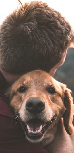 [2436x1125]金毛 狗 犬 汪星人 拥抱 宠物 苹果手机壁纸图片
