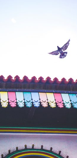 [2436x1125]飞鸟 建筑 屋檐 天空 苹果手机壁纸图片