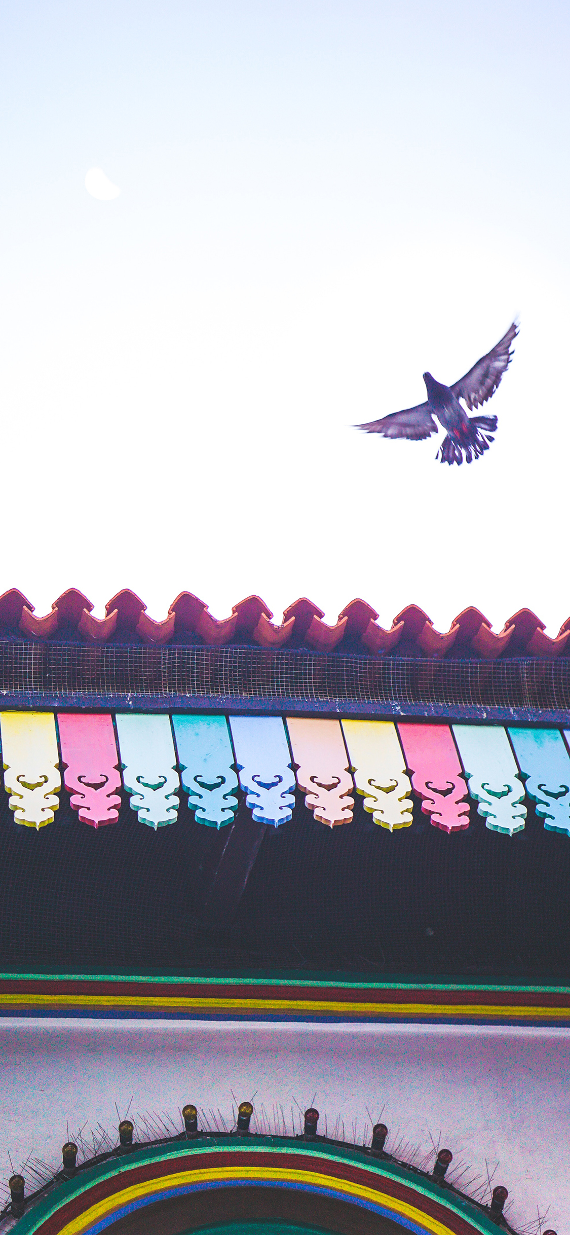 [2436×1125]飞鸟 建筑 屋檐 天空 苹果手机壁纸图片