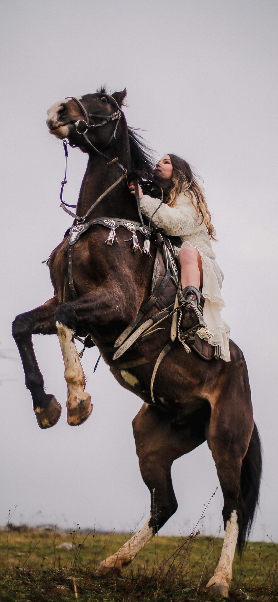 [2436×1125]马匹 骑马 女孩 野外 苹果手机壁纸图片