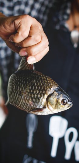 [2436x1125]鱼 河鲜 鱼鳞 苹果手机壁纸图片