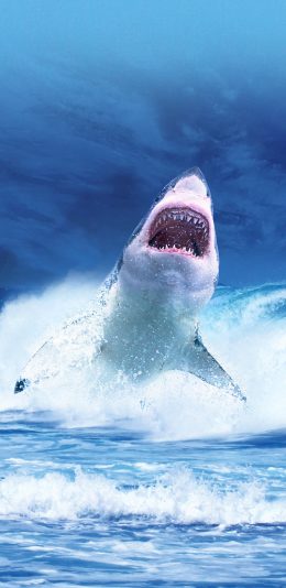 [2436x1125]鲨鱼 凶猛 大海 跳跃 尖牙 苹果手机壁纸图片