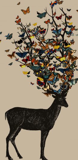 [2436x1125]鹿 蝴蝶 鹿角 绘画 苹果手机壁纸图片