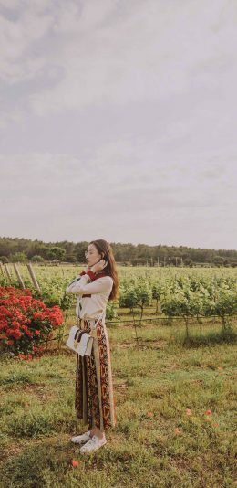 [2436x1125]倪妮 葡萄园 演员 明星 艺人 时尚 苹果手机美女壁纸图片