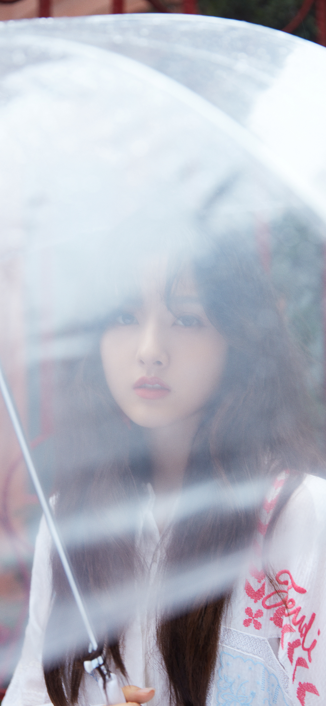 [2436×1125]宋祖儿 演员 明星 雨伞 艺人 苹果手机美女壁纸图片