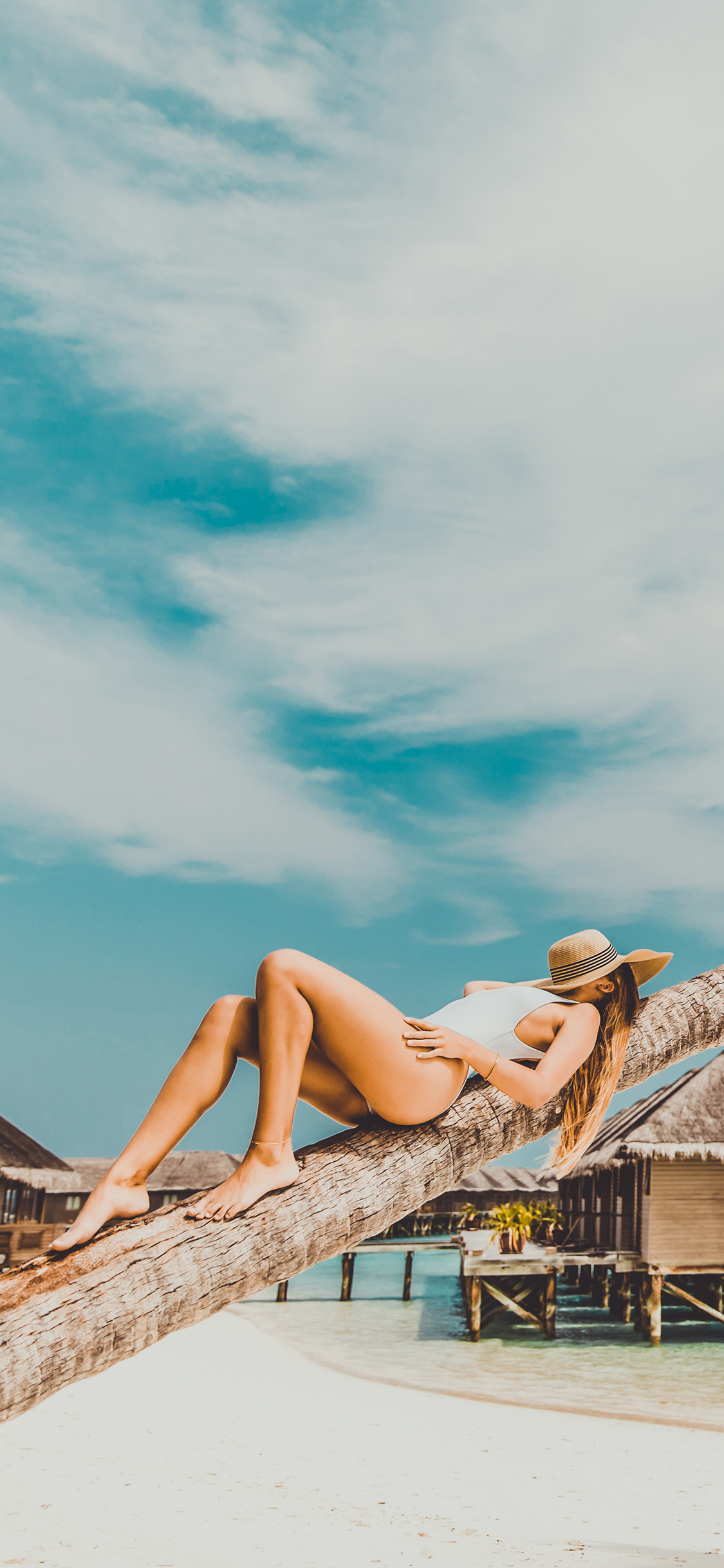 [2436×1125]树干 椰树 性感 比基尼 美女 苹果手机美女壁纸图片