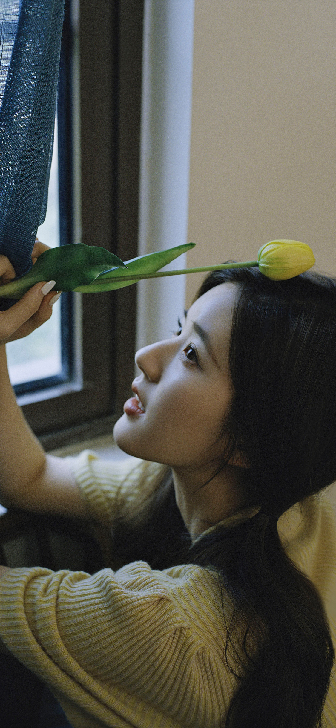 [2436×1125]赵露思 演员 明星 艺人 郁金香 苹果手机美女壁纸图片