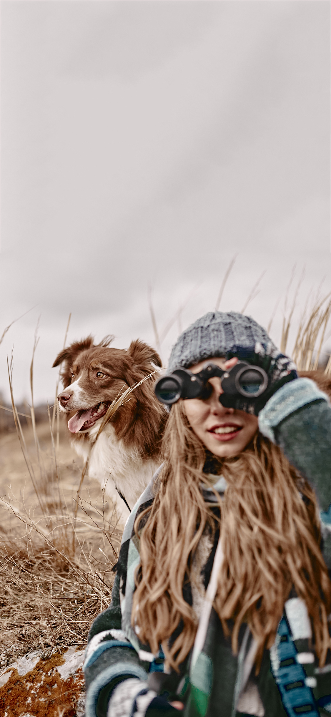 [2436×1125]郊外 欧美美女 宠物狗 边牧 苹果手机美女壁纸图片