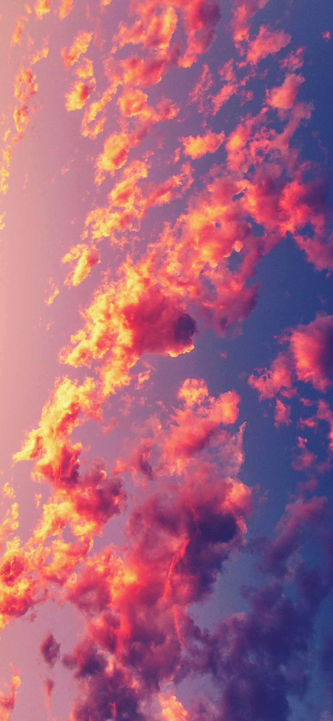 [2436×1125]云层 云彩 火烧云 灿烂 苹果手机壁纸图片