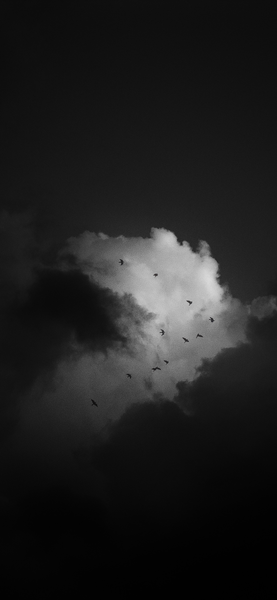 [2436×1125]云朵 黑白 飞鸟 云 苹果手机壁纸图片