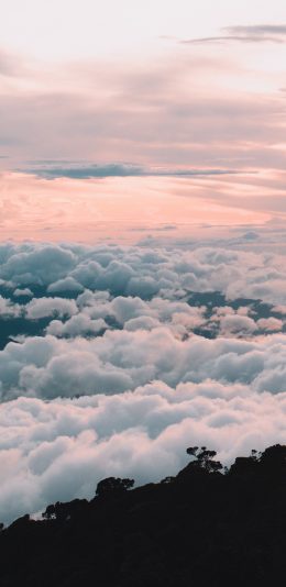 [2436x1125]云海 高山 云层 高空 苹果手机壁纸图片