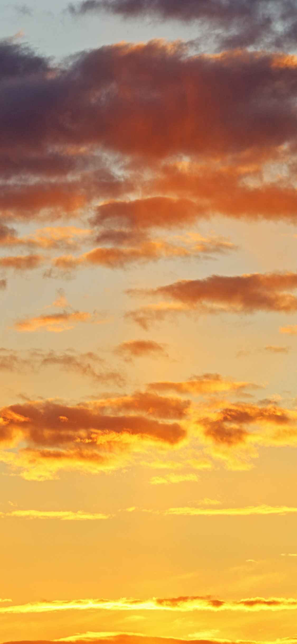 [2436×1125]云空 晚霞 金黄 自然 苹果手机壁纸图片