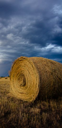[2436x1125]云空 郊外 草地 草垛