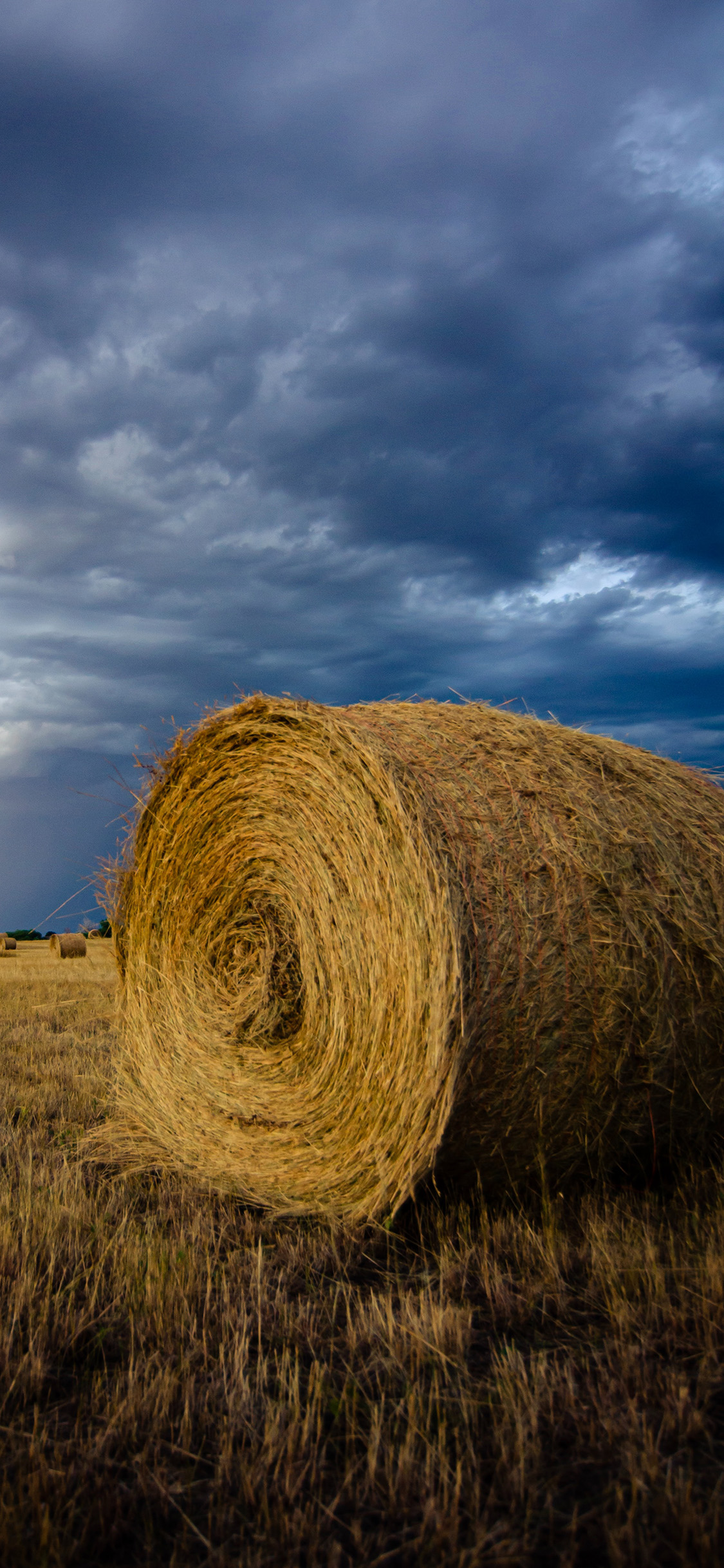[2436×1125]云空 郊外 草地 草垛