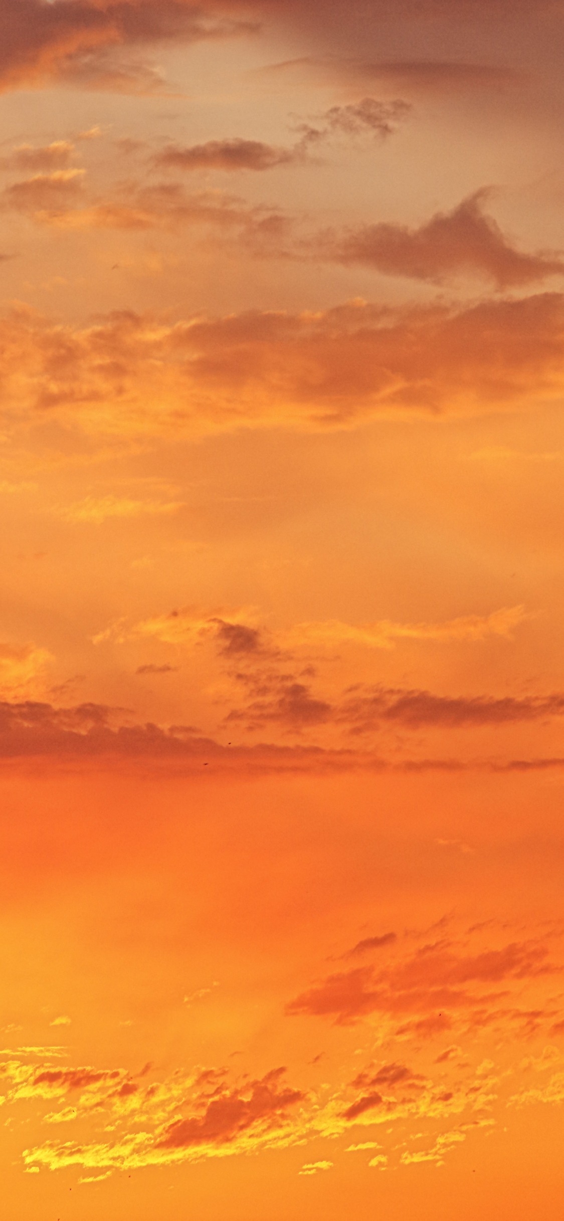 [2436×1125]云霞 晚霞 金黄 梦幻 苹果手机壁纸图片