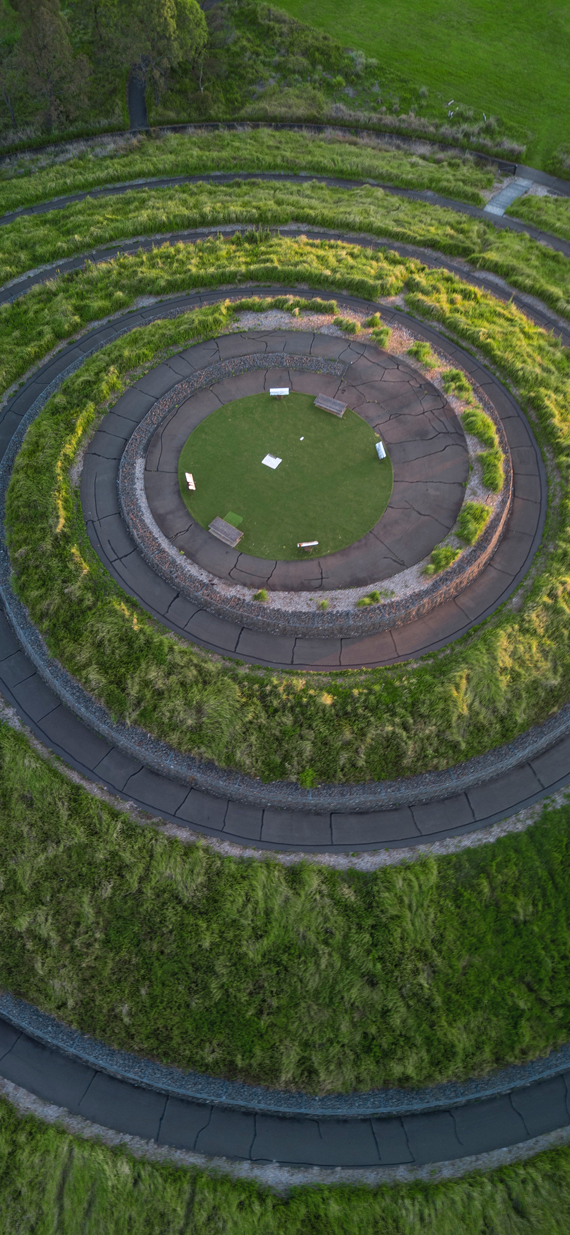 [2436×1125]仪式 环形 绿植 俯拍 苹果手机壁纸图片