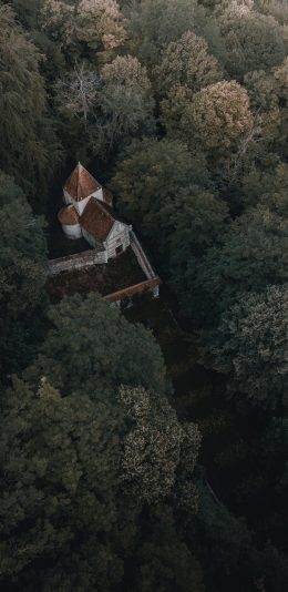 [2436x1125]仰拍 建筑 树林 城堡 苹果手机壁纸图片