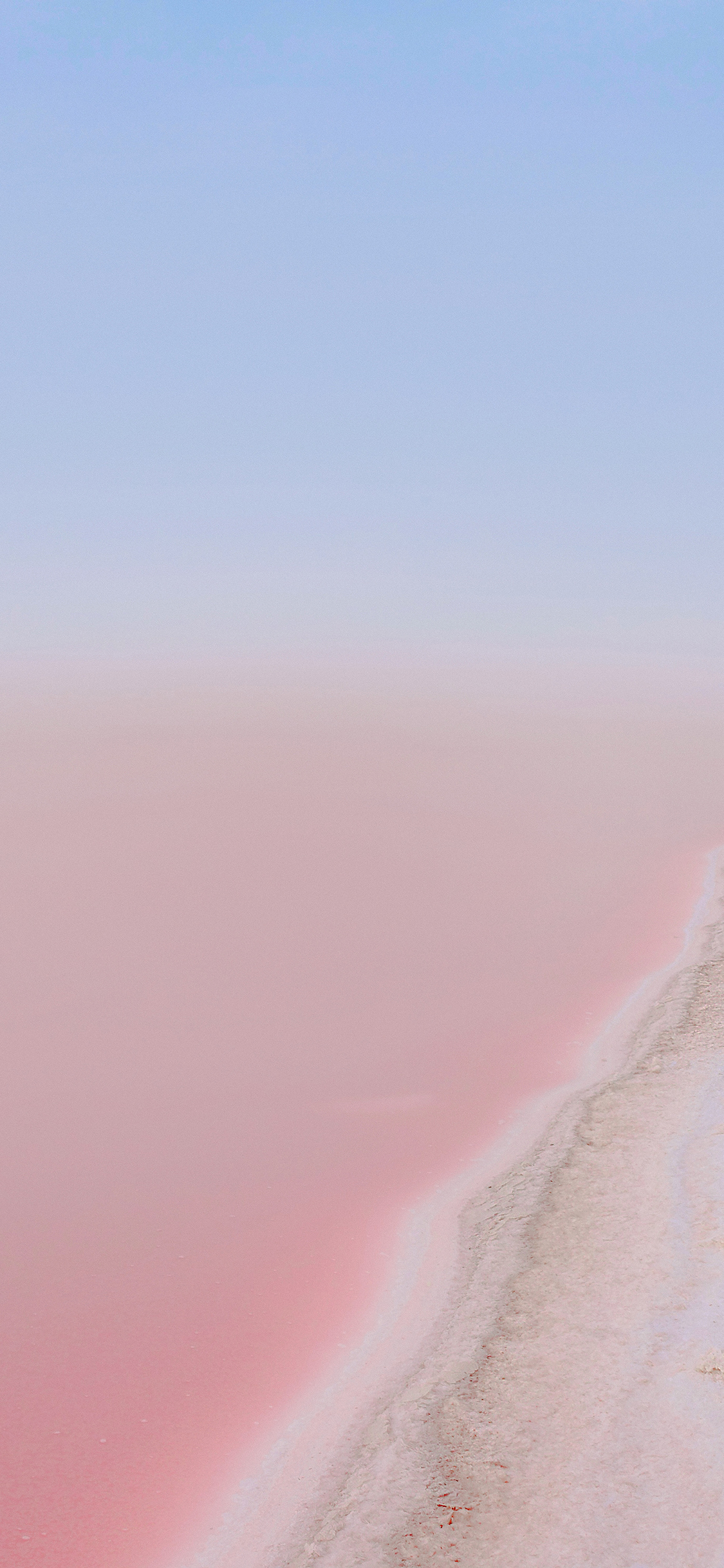 [2436×1125]伊朗 Shiraz 盐湖 粉色 苹果手机壁纸图片