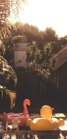 [2436x1125]休闲 度假 泳池 泳圈 苹果手机壁纸图片