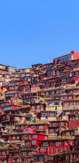 [2436x1125]佛学院 四川藏族 房屋 建筑 密集 苹果手机壁纸图片