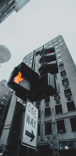 [2436x1125]信号灯 城市 建筑 指示牌 苹果手机壁纸图片