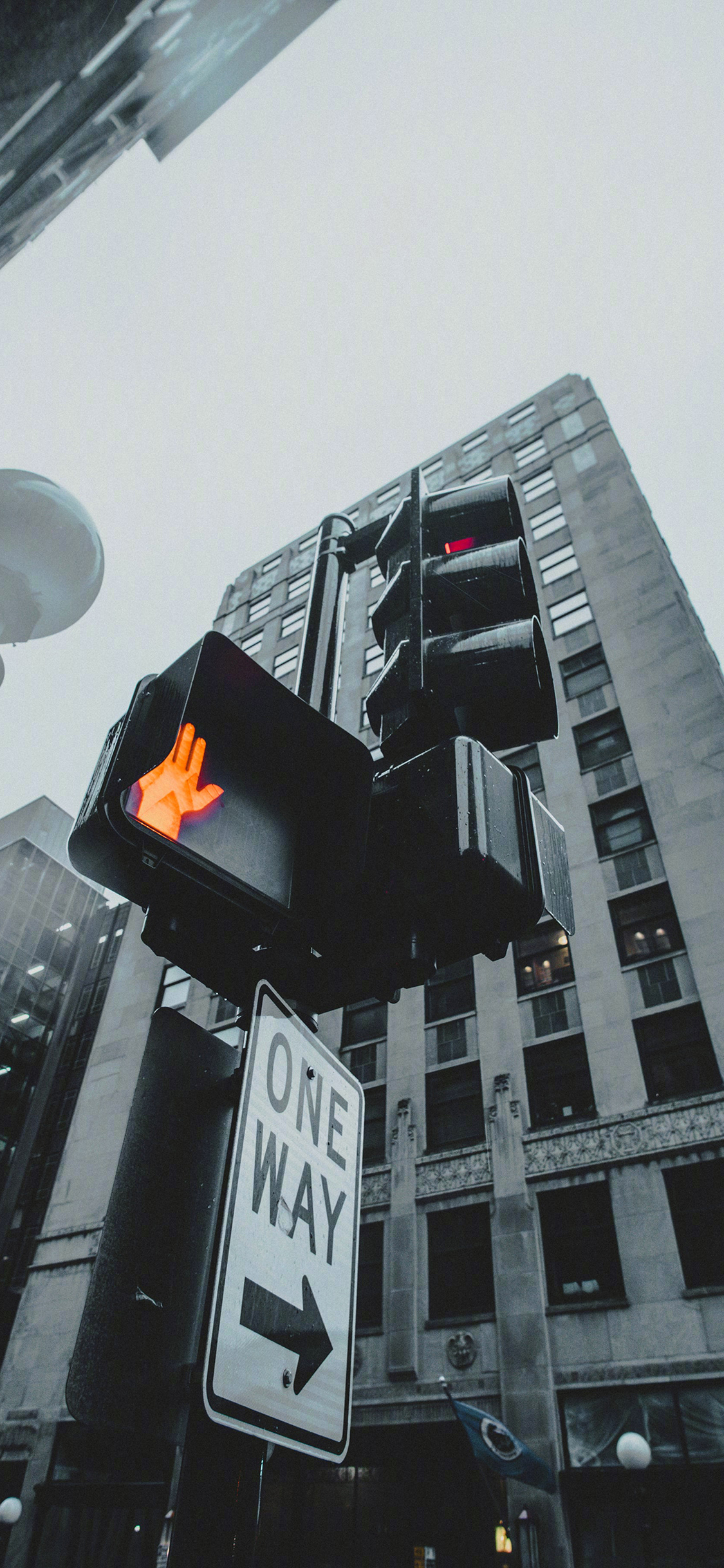 [2436×1125]信号灯 城市 建筑 指示牌 苹果手机壁纸图片