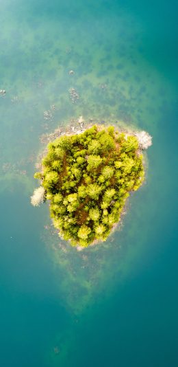 [2436x1125]俯拍 大海 小岛 绿植 苹果手机壁纸图片