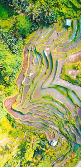 [2436x1125]俯拍 山脉 绿植 自然风光 苹果手机壁纸图片