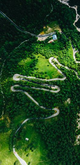 [2436x1125]俯拍 山路十八弯 树林 道路 苹果手机壁纸图片