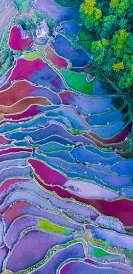 [2436x1125]俯拍 湖泊 色彩 美景 苹果手机壁纸图片