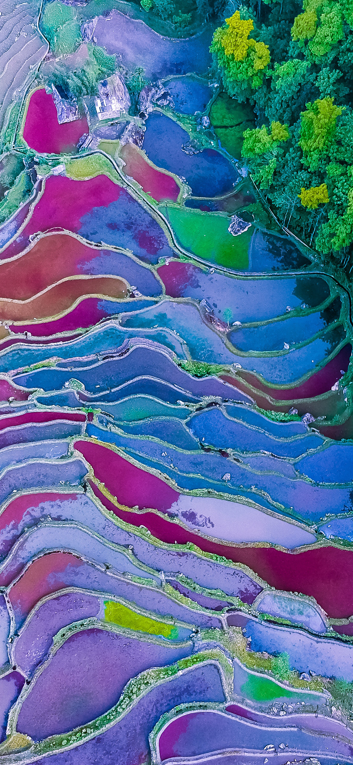 [2436×1125]俯拍 湖泊 色彩 美景 苹果手机壁纸图片