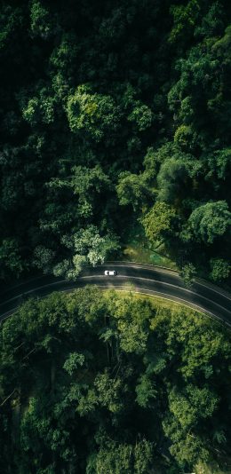 [2436x1125]俯拍 道路 公路 树林 苹果手机壁纸图片