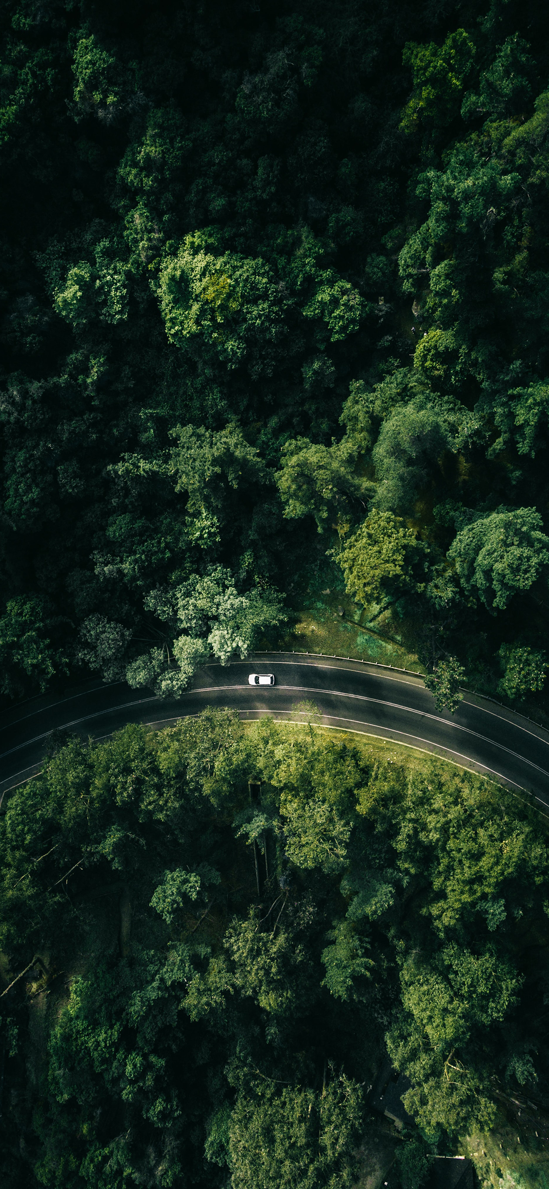 [2436×1125]俯拍 道路 公路 树林 苹果手机壁纸图片